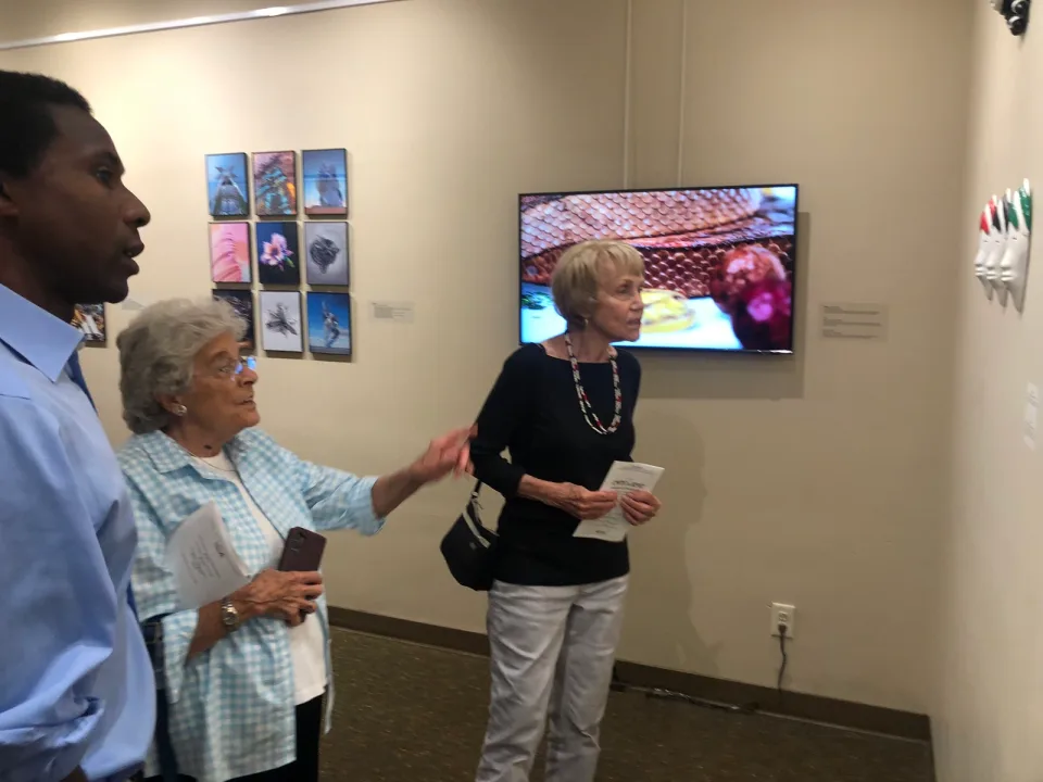 A conversation between visitors beside the gallery video screen and framed prints.
